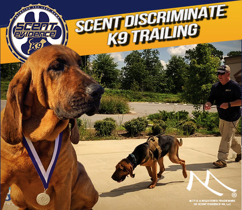 Scent Discriminate K9 Trailing Seminar